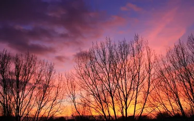 Очаровательная фотография заката с малиновым оттенком