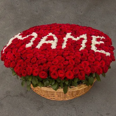 Фото розы Мама роза с выбором формата
