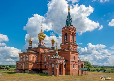 Фотографии Мамонтовой пустыни: встреча с дикой природой на каждом кадре