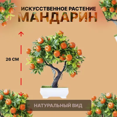 Невероятные фото мандариновых деревьев на iOS