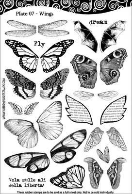 Изображение маникюра с крыльями бабочки - Фотка в JPG формате