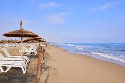 Фотографии пляжей Марокко с яркими цветами