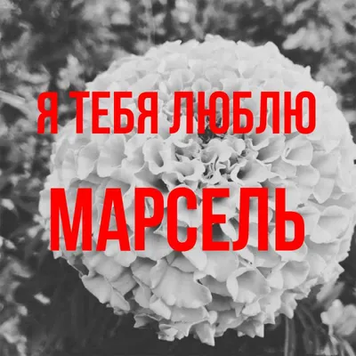 Изображение Марсель, я тебя люблю в формате png