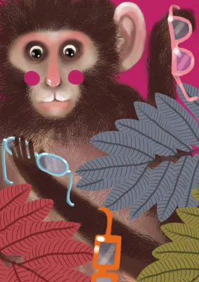 Фотография обезьянки: мартышка и ее стильные очки