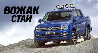 Изображения Amarok: большой выбор форматов для скачивания