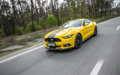 Фотография Ford Mustang с выбранным размером png