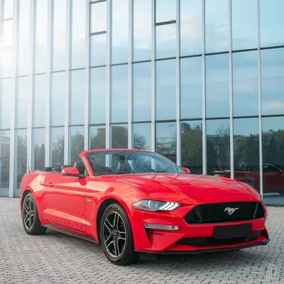 Изображение Ford Mustang с выбранным размером png