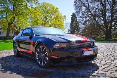 Фото Ford Mustang с выбранным размером webp