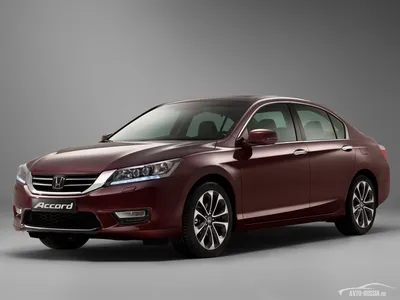 Фотография Honda Accord с размером Большой