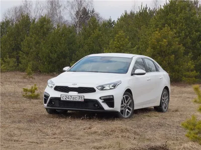 Фото Kia Cerato для автомобильного журнала