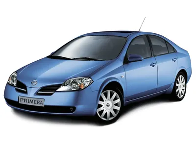 Фото Nissan Primera размером XS