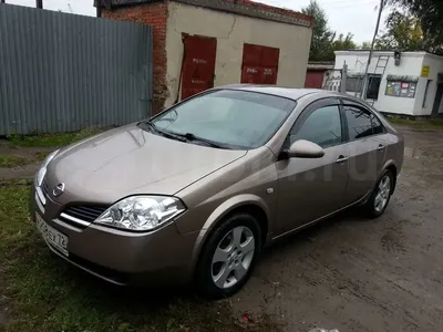 Изображение Nissan Primera с особым украшением