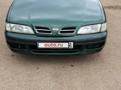 Картинка Nissan Primera в тумане