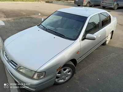 Фотография Nissan Primera в городском стиле