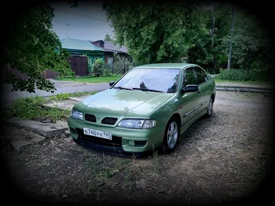 Фотография Nissan Primera с высоким качеством цветопередачи