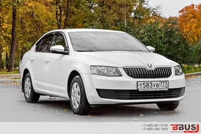 Фото Skoda с опцией выбора размера и формата файла