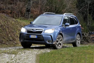 Фотография Subaru Forester: выбери оптимальный размер и формат перед скачиванием