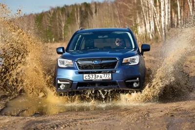 Фотография Subaru Forester: прекрасная картинка в формате JPG в твоем распоряжении