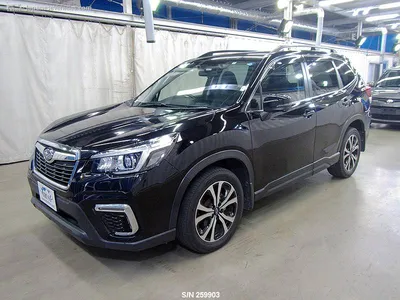 Машина Subaru Forester: фото в формате PNG доступно для загрузки