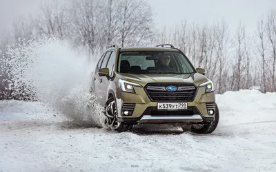 Фотография Subaru Forester: качественное изображение в формате WEBP