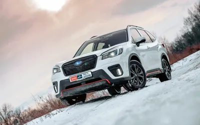 Изображение Subaru Forester: выбери желаемый размер и формат