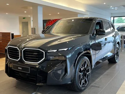 Фото BMW X8 в классической черной расцветке