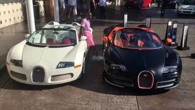 «Фото bugatti veyron на фоне природы»