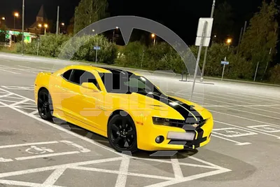 Эксклюзивные изображения Camaro для коллекционеров