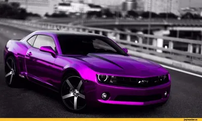 Фотография Chevrolet Camaro для истинных ценителей автомобилей