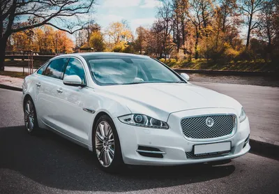 Фото Jaguar XJ: красота и мощь слились в одном