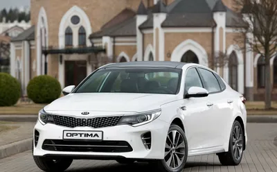 Эксклюзивные снимки автомобилей Kia Optima