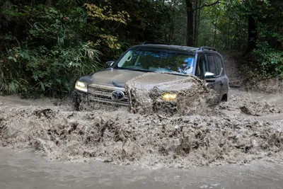 Фотографии Машин Land Cruiser со всех ракурсов