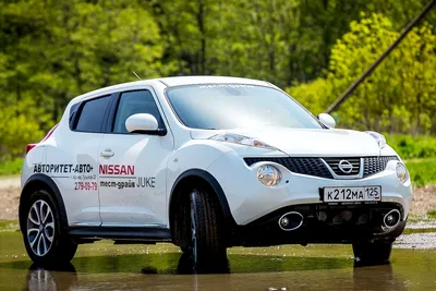 Фотография Nissan Juke для автосалонов