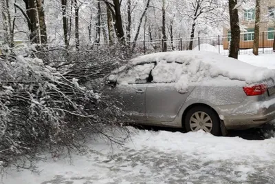 Фото, демонстрирующие автомобили в заснеженном убранстве