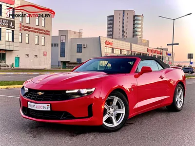 Лучшие фото Chevrolet Camaro для загрузки (jpg)