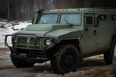 Фотоальбом Машины тигр: красивые снимки автомобилей с изображением тигра