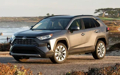 Бесплатные фото Toyota RAV4: Различные ракурсы