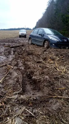 Изображения машин в грязи: потрясающие фотографии самых мощных автомобилей