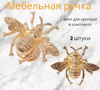 Удивительные мебельные жуки на фото