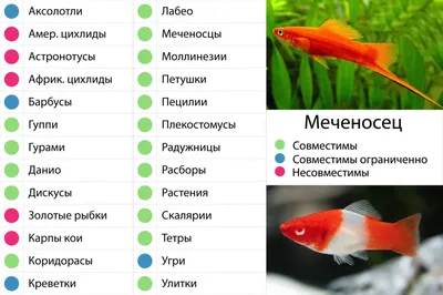 Меченосец рыба: Оригинальное изображение для использования в медиа-проектах