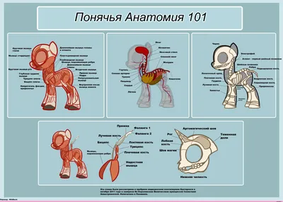 Забавные снимки: медицинская тематика для поднятия настроения.