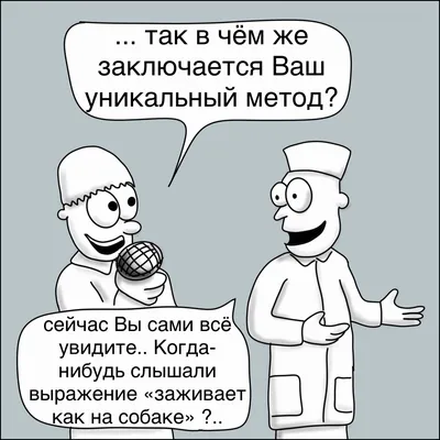 Изображения для развлечения: смешные фото