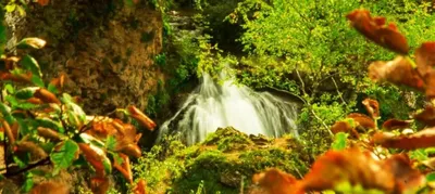 Прикосновение к тайне медовых водопадов: фотоотчет