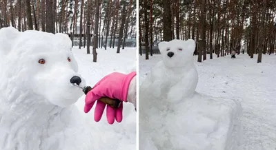 Фотографии снежного медведя: лучшие обои