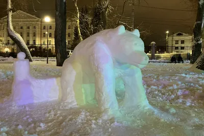 Снежные страсти: встреча с медведем на фото