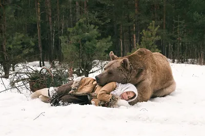 Фото на андроид: медведь из снега 4K