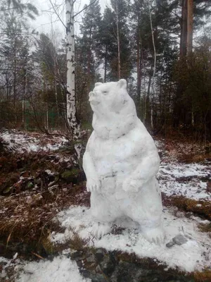 Скачать бесплатно фотографии медведя в хорошем качестве