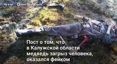 Драма в дикой природе: Медведь и человек на захватывающем кадре