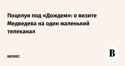 Обои на рабочий стол с Медведевым под дождем