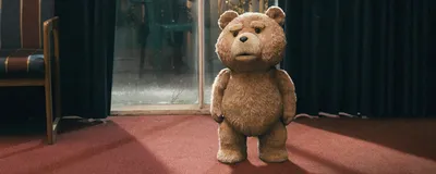 Новое изображение Медведя из фильма Третий лишний - бесплатно в HD качестве
